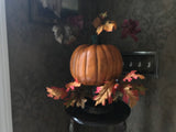 Just a Fall Pumpkin