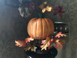 Just a Fall Pumpkin