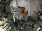 Eucalyptus/Monarch Butterfly/Our Story