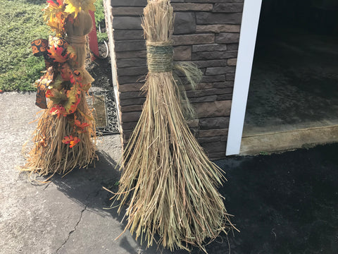 Witch Broom