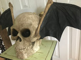 Bat Wings Skull