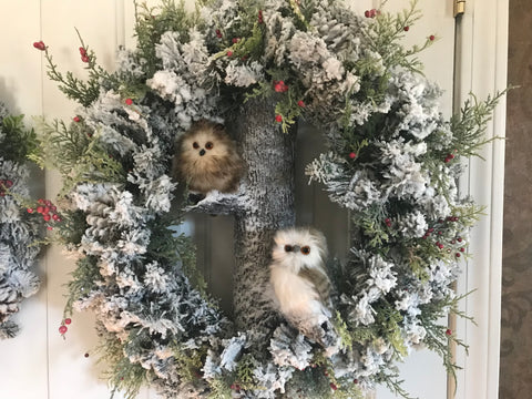 Two Owls in an Evergreen Tree