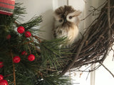 New England Evergreens/Plaid Bow/Red Berries/Baby Owl