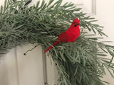 Rosemary and a Cardinal