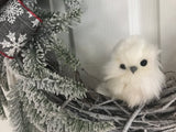 Snow Covered Balsam Pine/Baby Owl