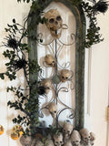 Creepy Window Vine