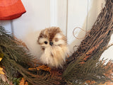 Fall and a Baby Owl