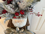 Santa Centerpiece