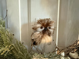 Baby Owl 🦉 and Winter Berries