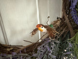 Lavender/Hummingbird