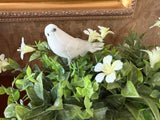 Peace/Dove