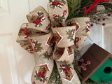Winter Birdhouse & Cardinals