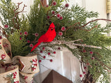 Winter Birdhouse & Cardinals