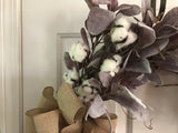 Fall Lambs Ear, Cotton and HOME