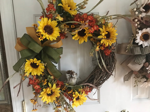 Sunflowers and A Baby Owl