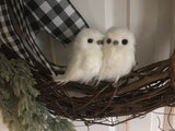 Twin Baby Snow Owls