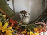 Sunflowers and A Baby Owl