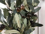 Olive Branches