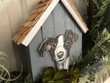 Doghouse Grey/Italian Greyhound