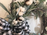 Lambs Ear and Winter Cotton