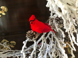 Three Cardinals – Merry Christmas