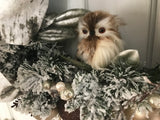 Brown Ornaments/Baby Owl