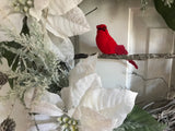 Three Snow Covered Poinsettias