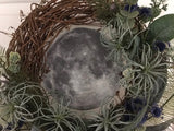 Moon and Succulents