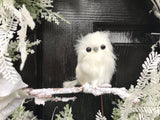 Snow Owl