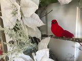 Three Snow Covered Poinsettias