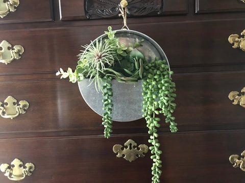 Galvanized container filled with Succulents